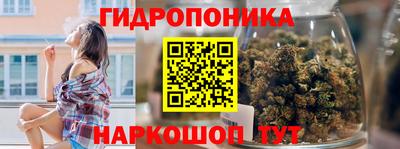 спайс Кимры