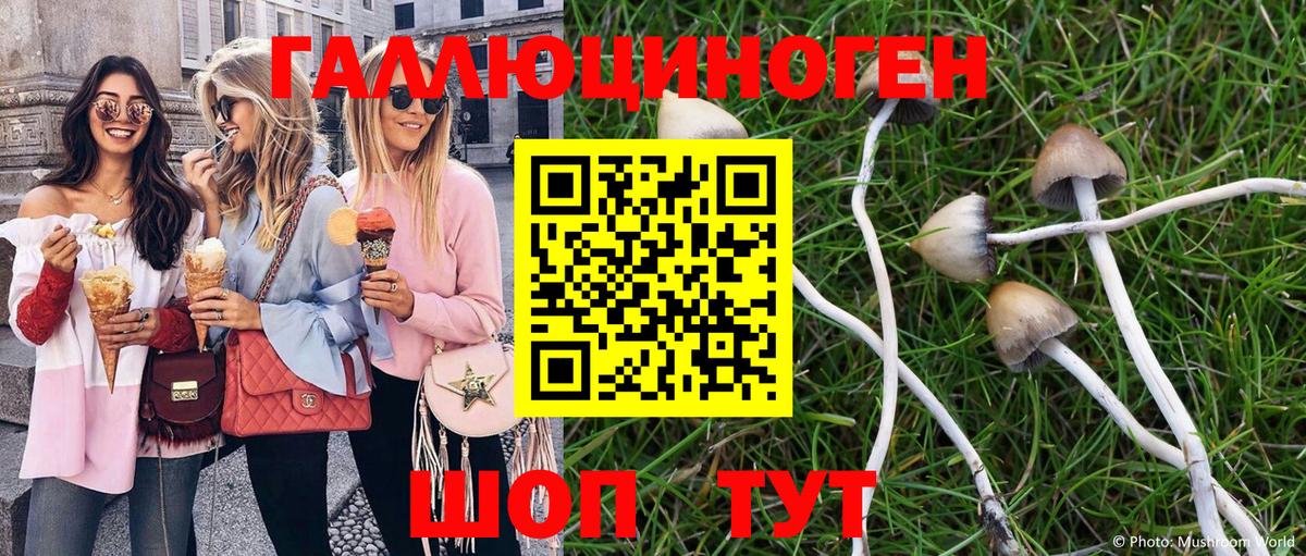 Краснознаменск  Псилоцибиновые грибы мухоморы  Вход с VPN 
